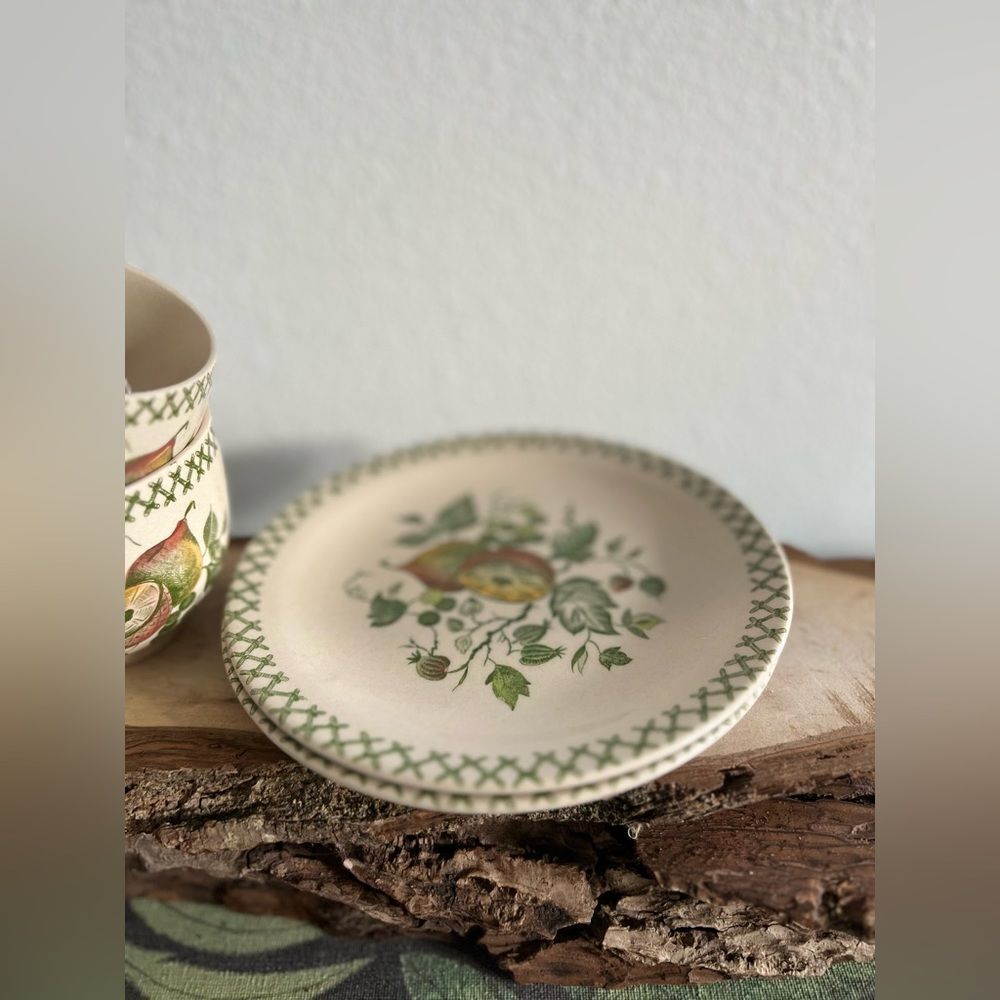 Johnson Brothers ARBOR OLD GRANITE Cup & Saucer Sets Set Of 2 - Picture 4 of 7